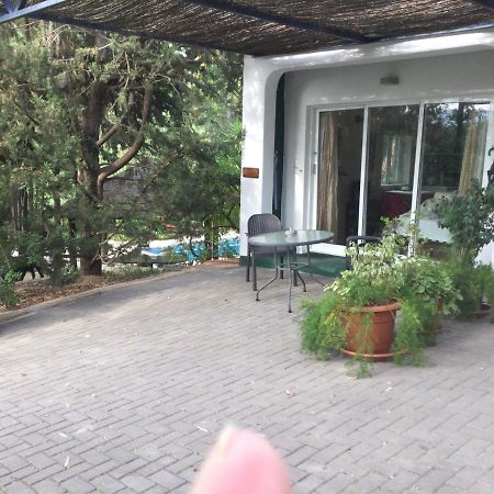 Finca El Rio,, La Casita One Of 2 Self Catering Studios. Pool And Hydrotherapy Jacuzzi Málaga Exterior foto