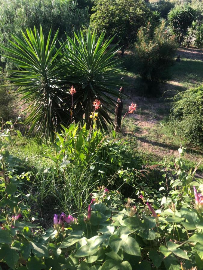 Finca El Rio,, La Casita One Of 2 Self Catering Studios. Pool And Hydrotherapy Jacuzzi Málaga Exterior foto